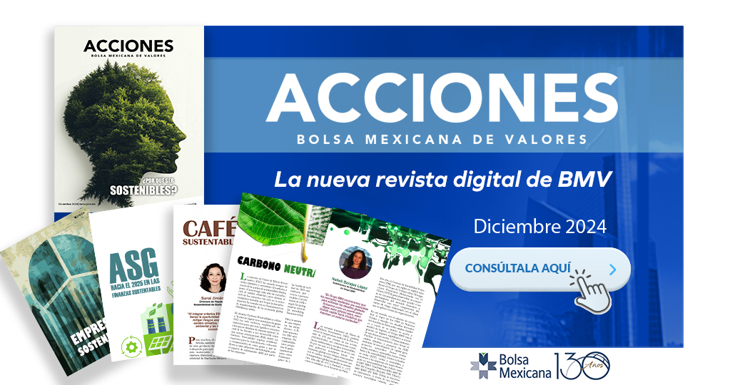 REVISTA ACCIONES