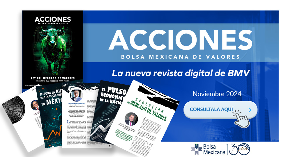 REVISTA ACCIONES