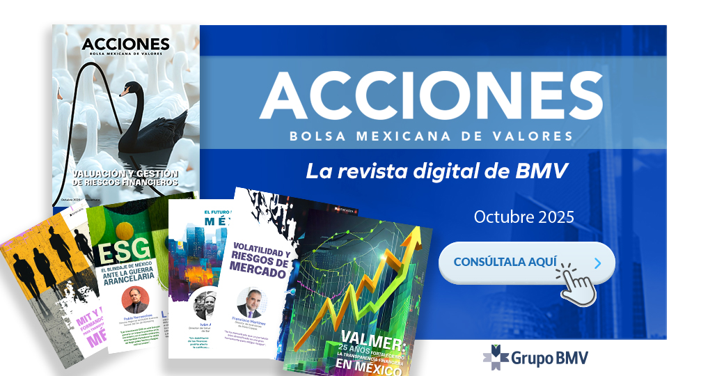 REVISTA ACCIONES