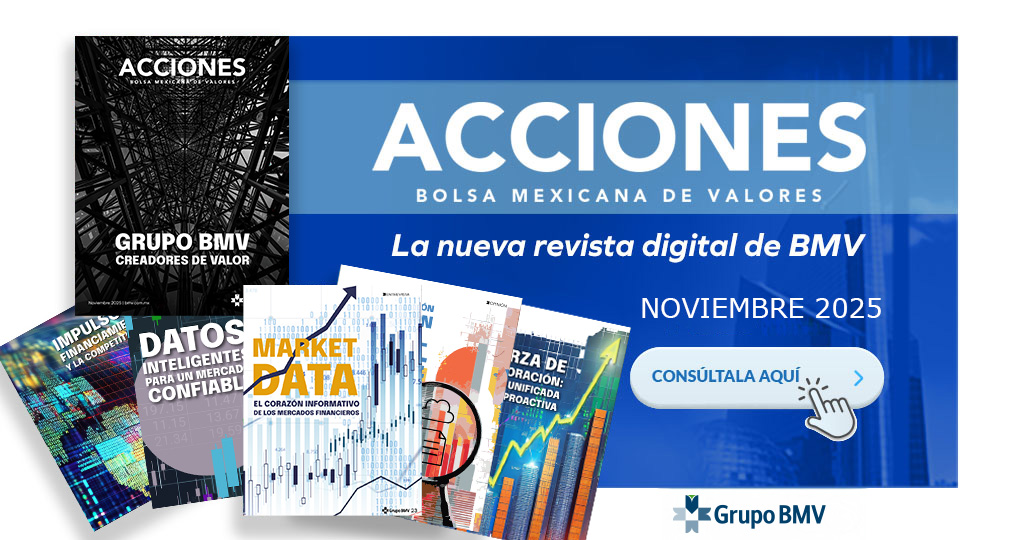 REVISTA ACCIONES